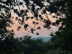 -火炉山森林公园