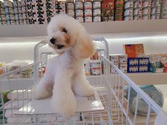 -comecome来吧宠物(奥克斯中心店)