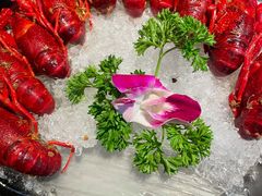 经典酒醉龙虾-红盔甲·小龙虾(长寿路店)