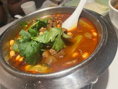 红烧肥肠-川味堂·四川豆花(八卦岭店)