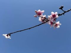 -王府井步行街