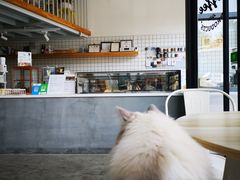 -隹木咖啡馆(宝龙广场店)