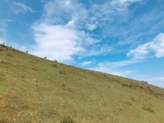 -大姆山草场