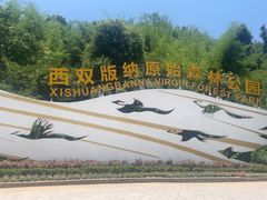 -西双版纳原始森林公园