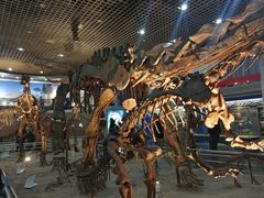 -国家自然博物馆