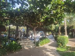 -三亚亚龙湾天域度假酒店