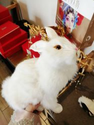 -盘子女人坊古装写真摄影(深圳店)