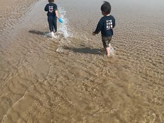 -日照海滨国家森林公园