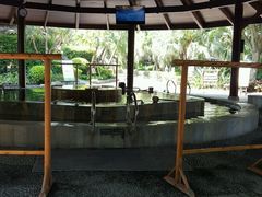 -厦门日月谷温泉渡假村