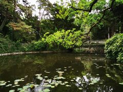 -叶家花园