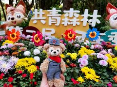 -上海共青森林公园