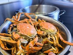 -天鹅到家·保姆月嫂育儿嫂(南开店)