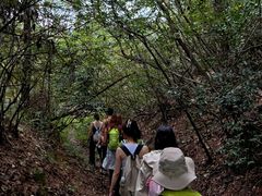 -浙西天池景区