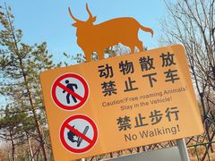 -秦皇岛野生动物园