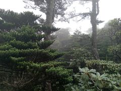 -天龙八部武侠城