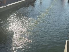 -DGE季风钓虾营地·团建·聚会