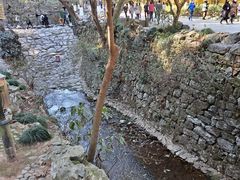 -灵隐飞来峰景区