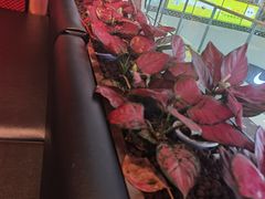 -百特喜·意大利餐厅(万达常德店)