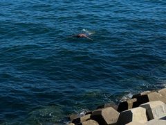-星海广场