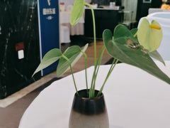 -眉州东坡(通州店)