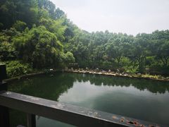 -九龙潭景区