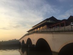 -大湾区中央湿地公园