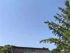 -观潮胜地公园