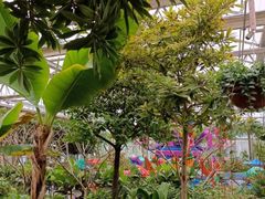 -南宫五洲植物乐园