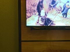 -大桶水·全国旗舰店(体育路店)