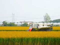 -嘉北郊野公园