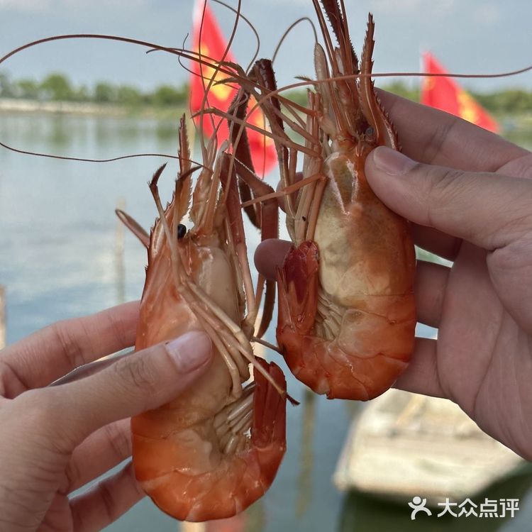 邓仙蟹舫|他家的阳澄湖大闸蟹我可以吃78910次!