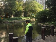-新湖明珠城