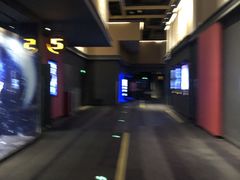 -万达影城(闵行颛桥万达广场杜比影院店)