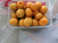 -敦煌莫高国际机场