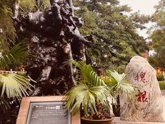 -大槐树寻根祭祖园