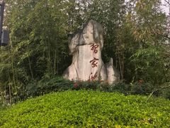 -习家池