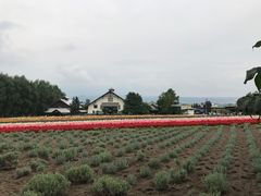 -富田农场