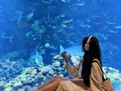 -欢乐海岸海洋奇梦馆