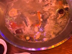 -红牌美蛙鱼头火锅(万辉国际广场店)