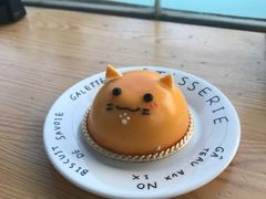 -猫小院猫主题咖啡厅(北锣店)