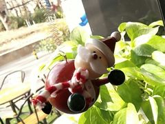-DK45丹麦家居生活馆·依诺维绅(798店)