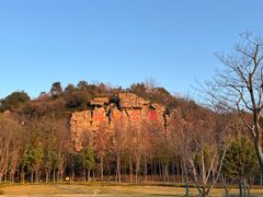 -绍兴镜湖国家城市湿地公园