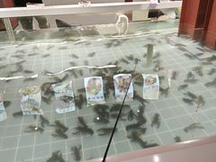 -虾胡闹龙虾馆(湄南河店)