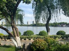 -莫愁湖公园