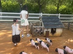 -齐齐哈尔龙沙动植物园