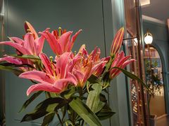 -南堂馆·新川菜(春熙路店)