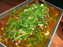 香辣炝锅鱼-树厨地道黔菜(凯里韶山南路店)