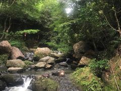 -红山村