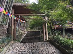 -宁波浙东大竹海景区