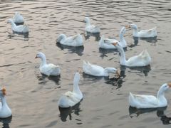 -西安汉城湖景区